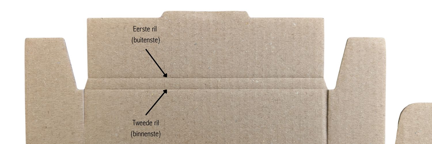 Eerste en tweede ril.jpg